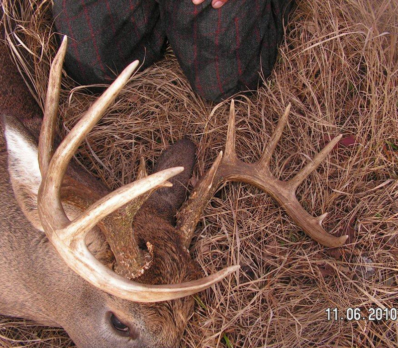 A close-up of the rack from Doc's 2010, 10-pointer