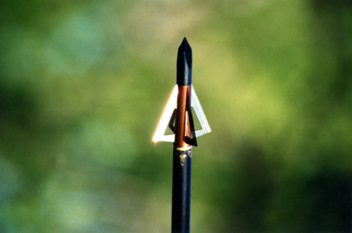 One of Doc's broadheads on the end of an arrow.
