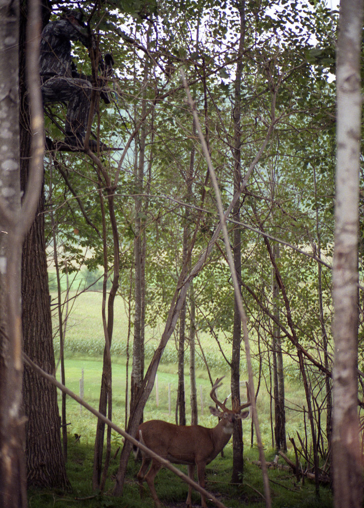 Doc with bow in a treestand aiming at a large buck beneath.