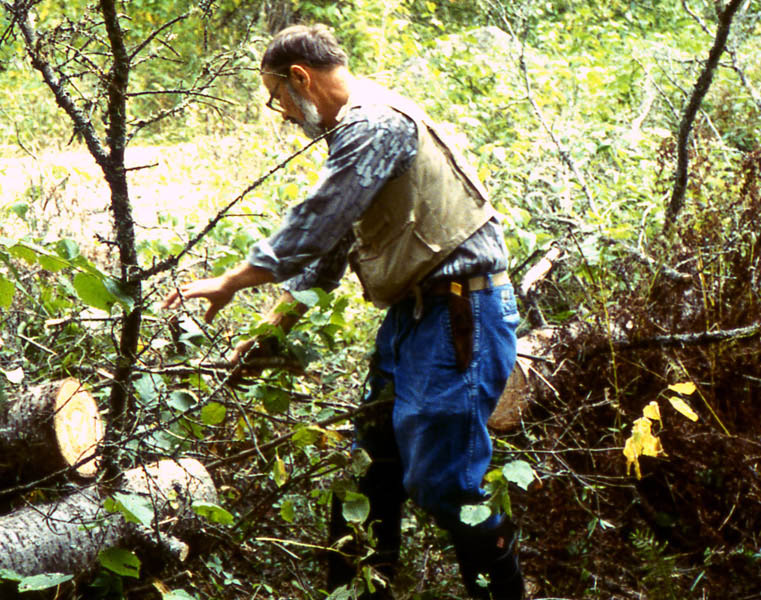 Doc Ken Nordberg has used a chainsaw to cut through a windfall that blocked a traditional deer trail.