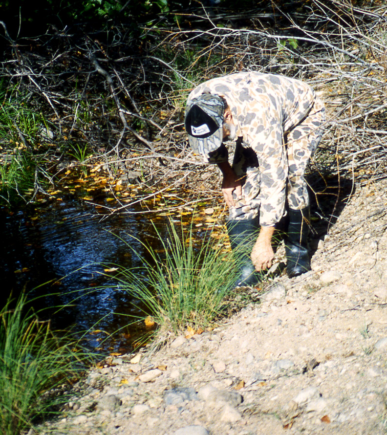 Doc bending over and measuring a white-tailed deer track with a steel tape measure.